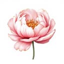 Mother's Day & Holidays